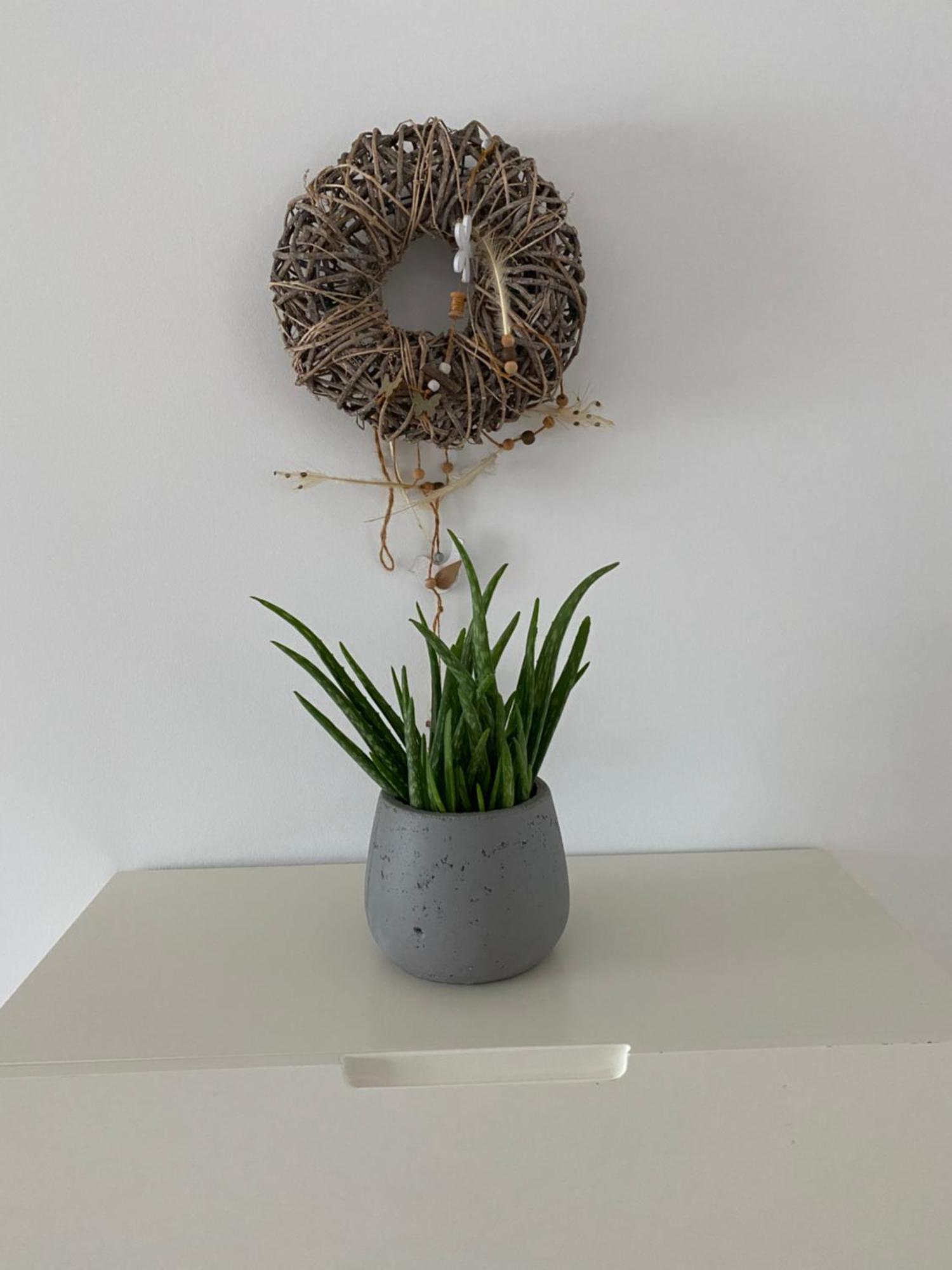 Modernes City-Appartement Neustadt an der Weinstraße Extérieur photo